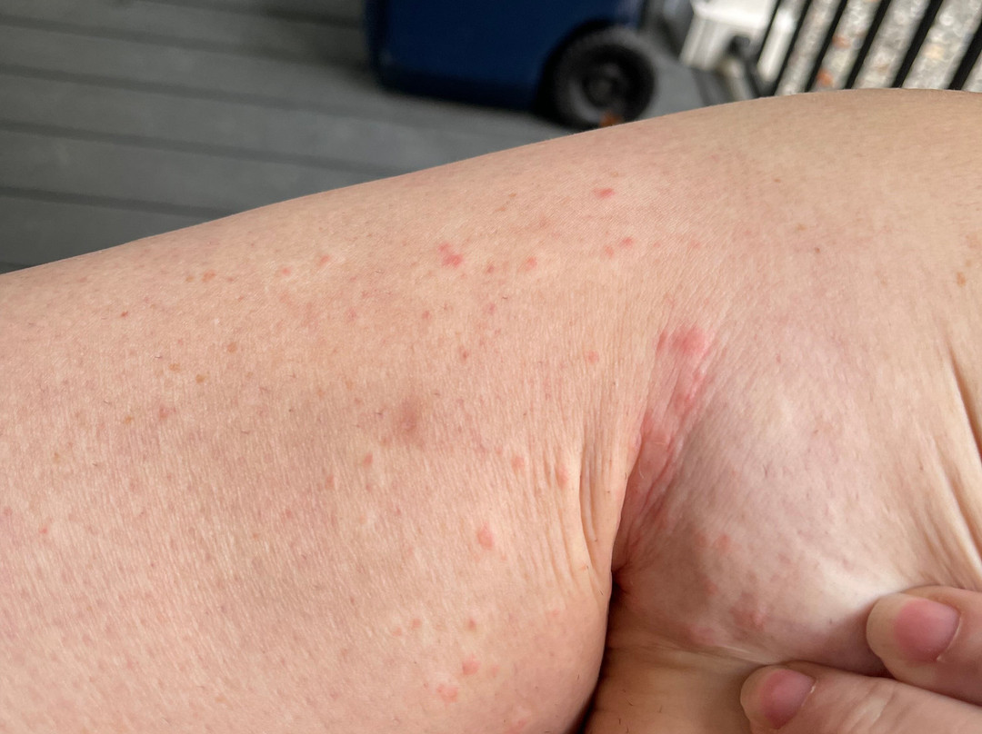 Days Inn by Wyndham Jellico - Tennessee State Line主图