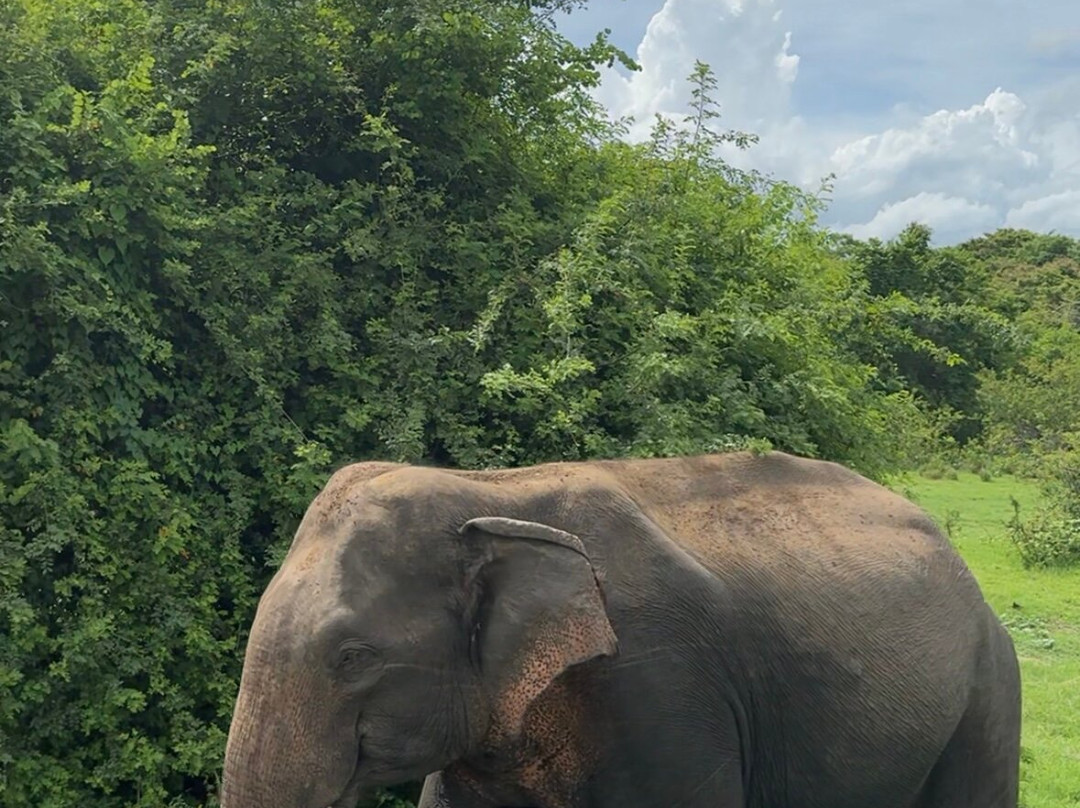 Smart Taxi & Tours Pasikudah-卡尔库达必去景点