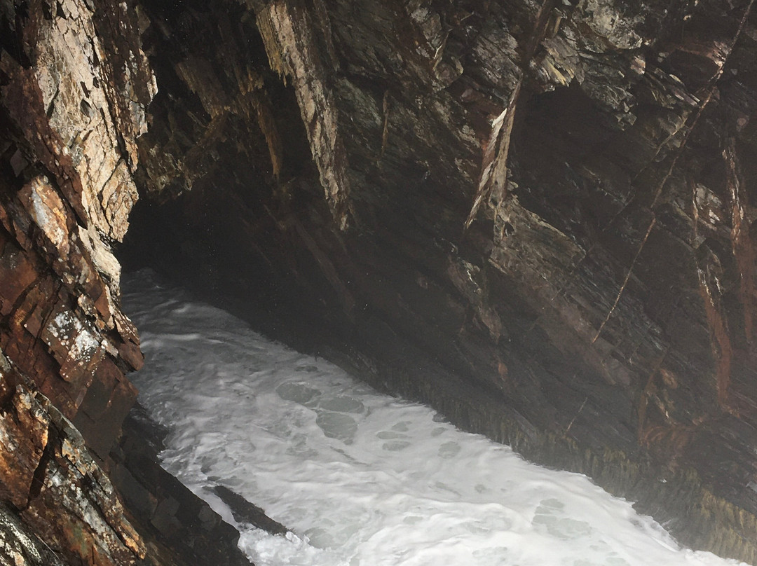 Supernova Tours Inc.-哈利法克斯必去景点