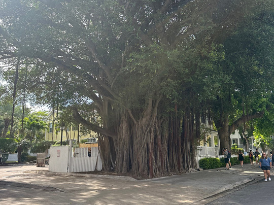Key Lime Bike Tours-基韦斯特必去景点