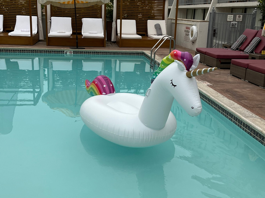 帕萨迪纳喜来登酒店主图