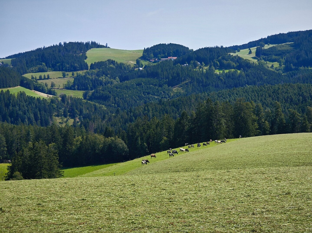 Schwarzwald Hochstrasse-拜尔斯布龙必去景点