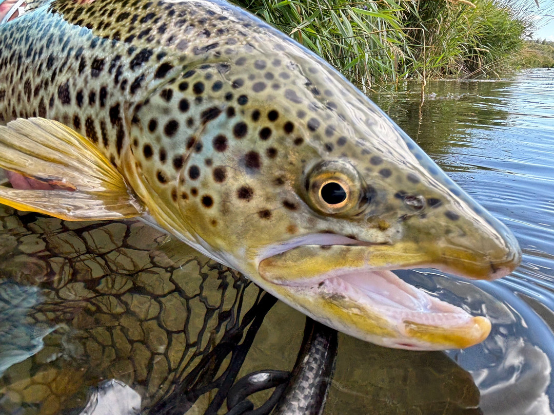 Streamside Outfitters-卡尔加里必去景点