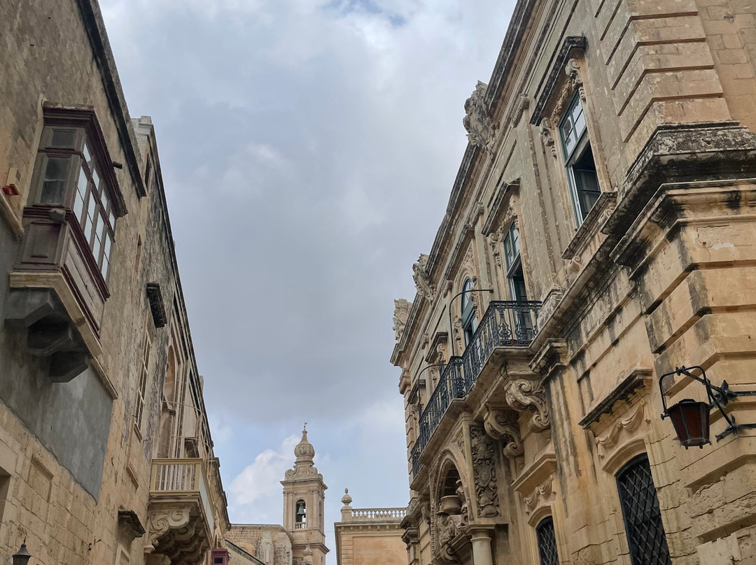 White Taxi Service Malta景点图片