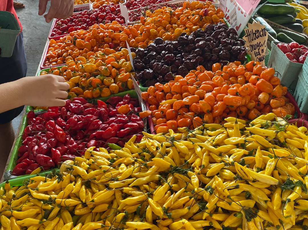 State Farmers Market景点图片