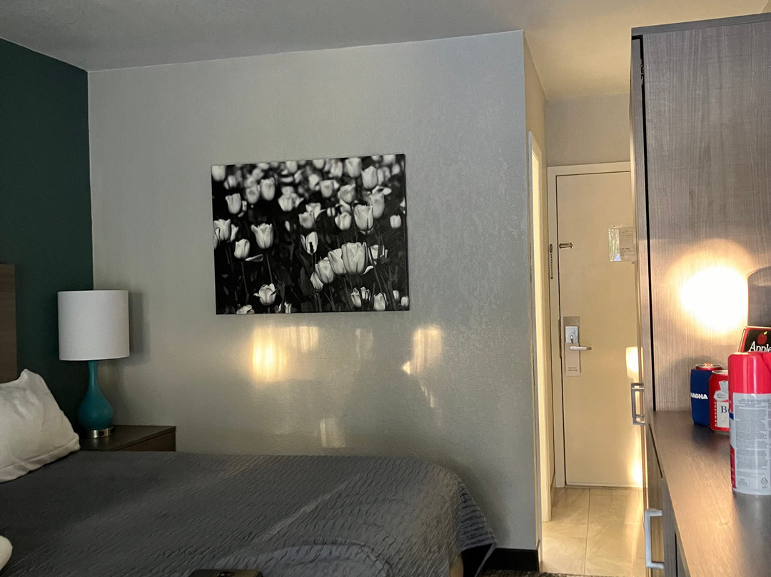 Alpena Resorts主图