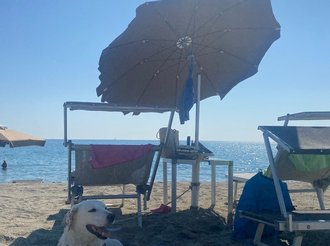 la spiaggia di Pippo景点图片