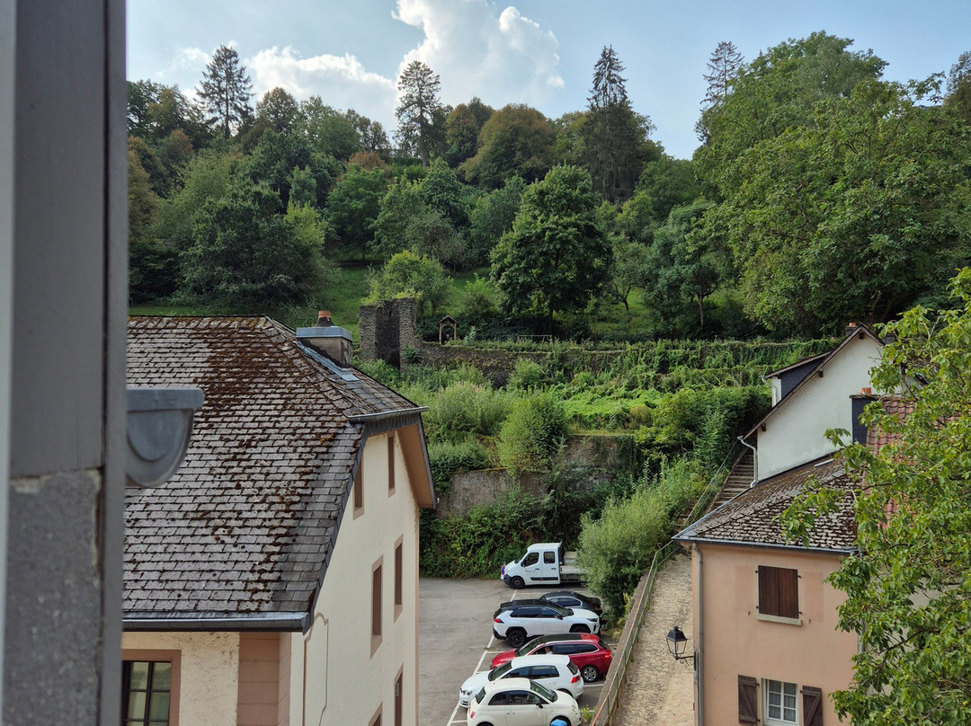 B&B Auberge du Chateau主图
