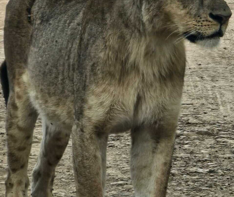 Kenya Tru Nomads-蒙巴萨必去景点