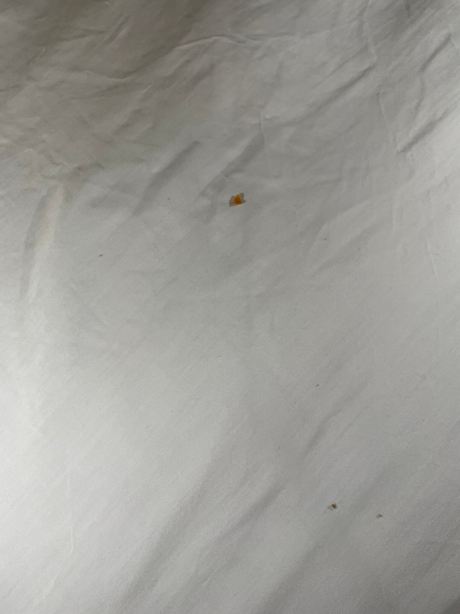 飞行员套房酒店，贝斯特韦斯特品质精选-客卧