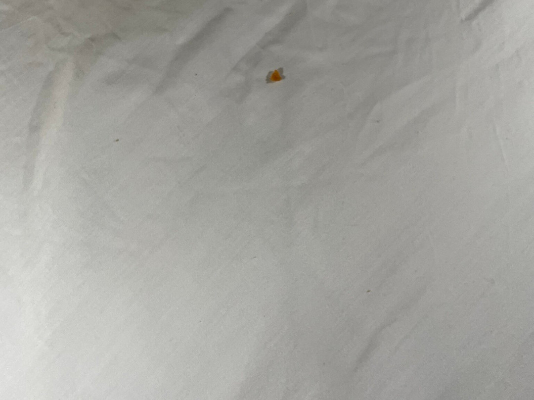 Aviator Hotel & Suites South I-55主图