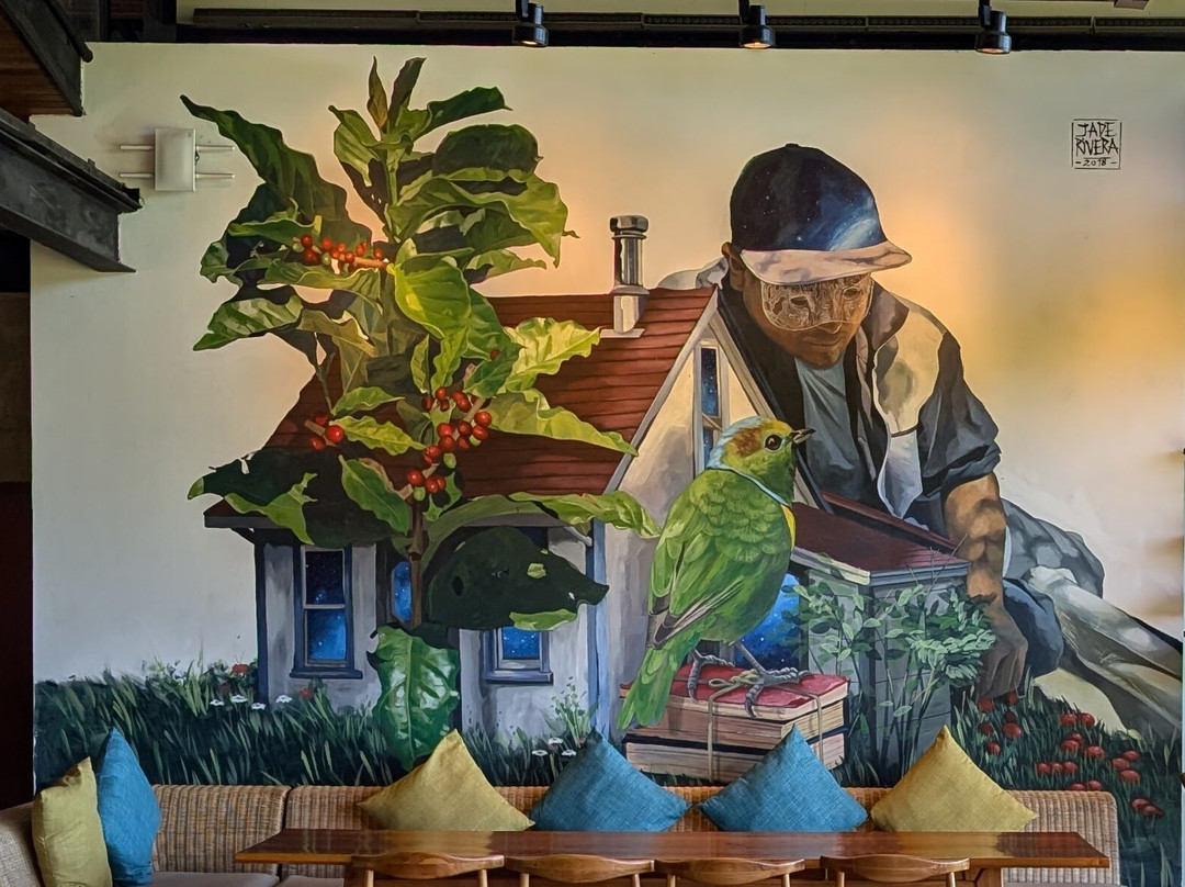 Tico Lingo景点图片