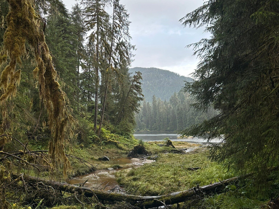 Alaska Charters and Adventures景点图片