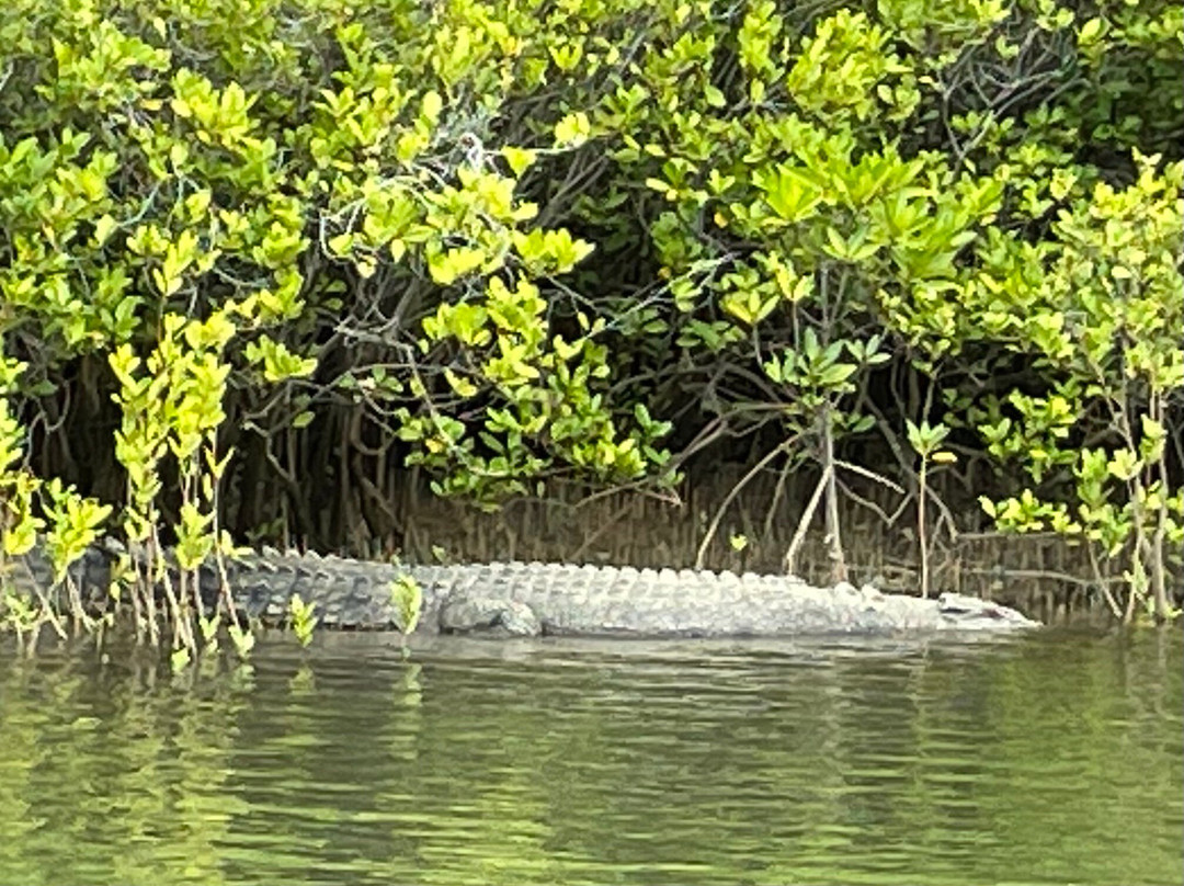 Tony's Tropical Tours-道格拉斯港必去景点