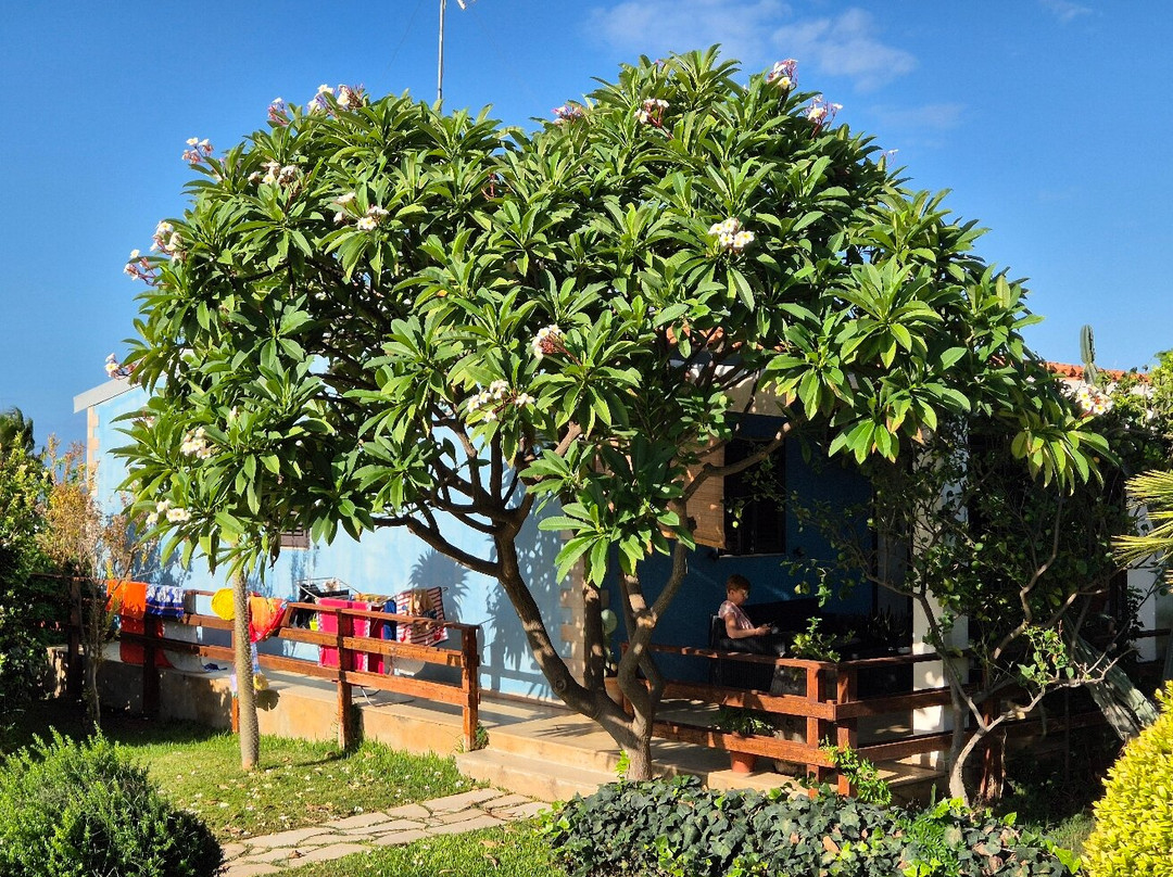 Villa Francesco主图