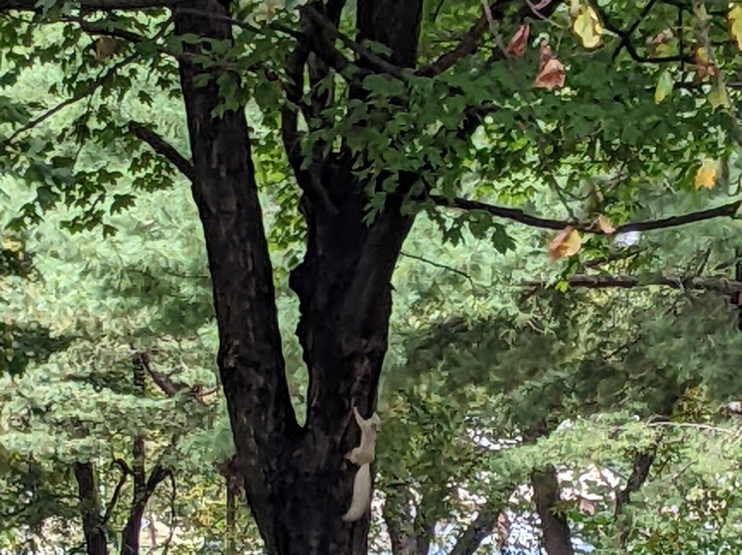 Olney City Park-Olney必去景点