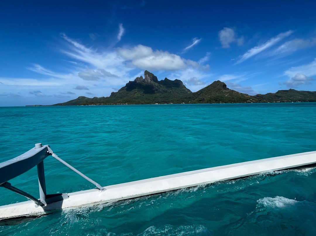 Coral Gardens-波拉波拉岛必去景点