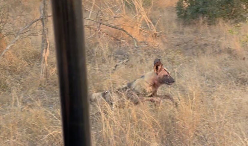 丛林漫步之旅酒店主图