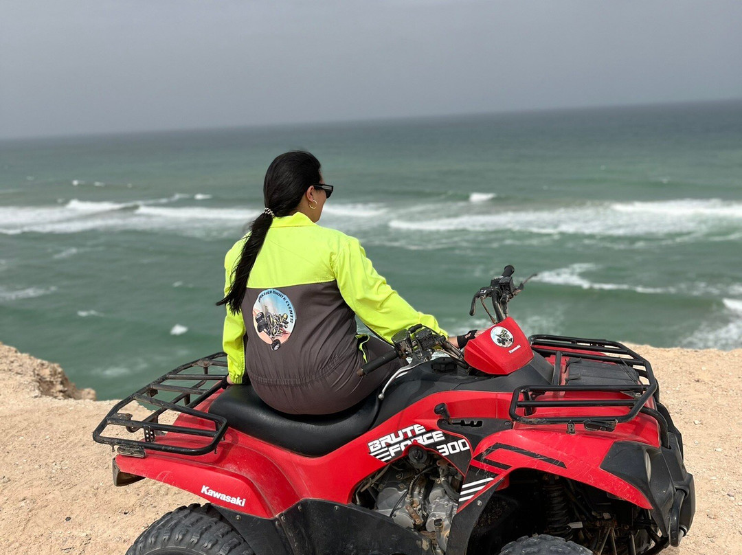 Go Booking Tours-达赫拉必去景点