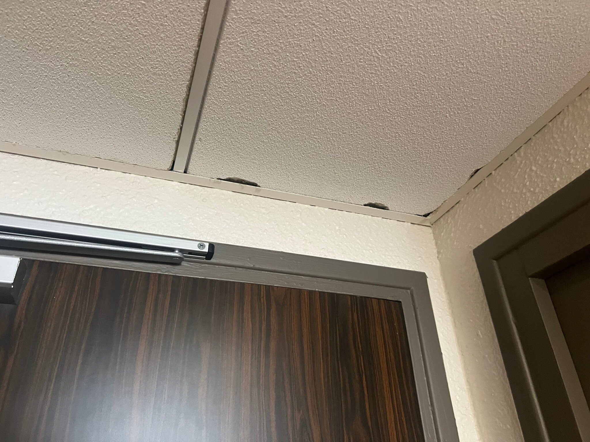 诺沃特巴耶酒店-官方
