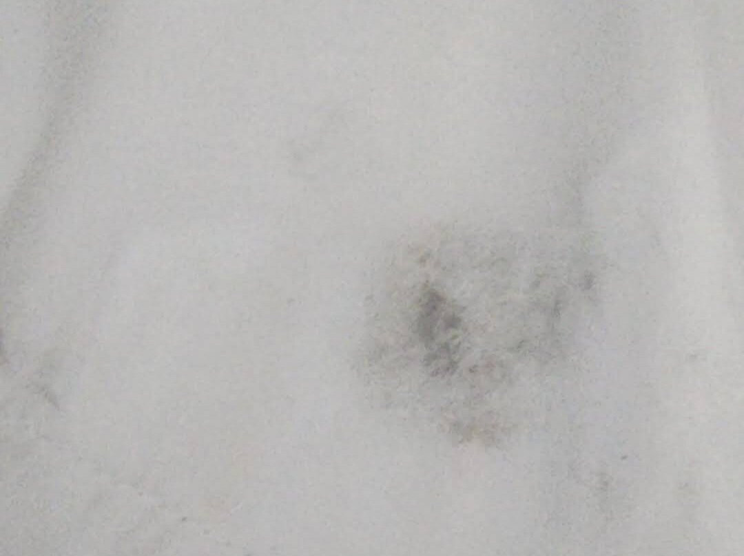 Wingate By Wyndham North Little Rock主图