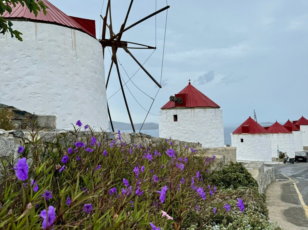 Remezzo Bayfront Suites主图