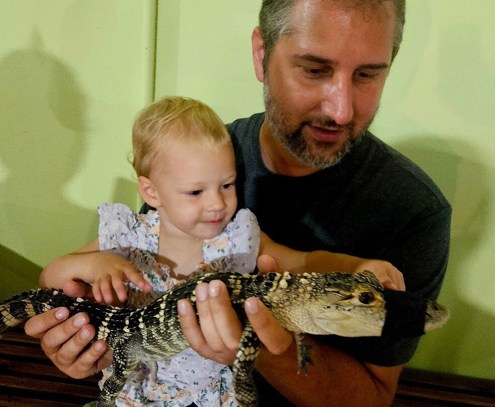 Tampa Bay Rescues-马德拉海滩必去景点