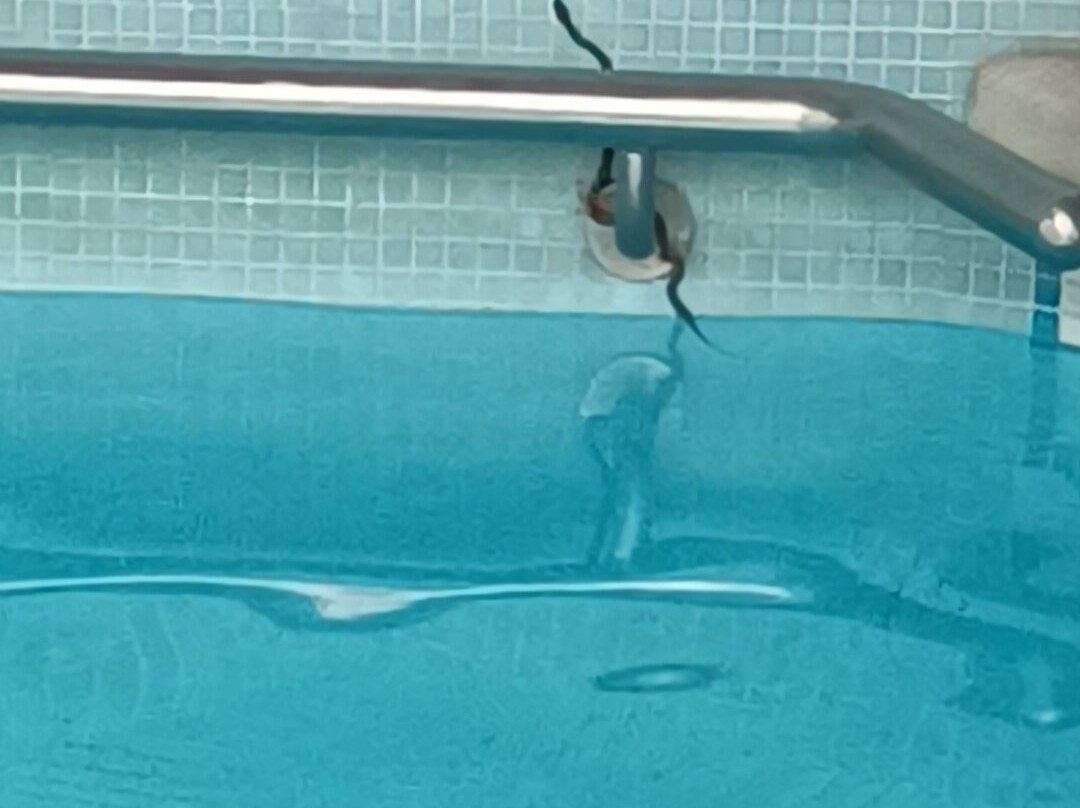 Hotel Senhora do Castelo主图