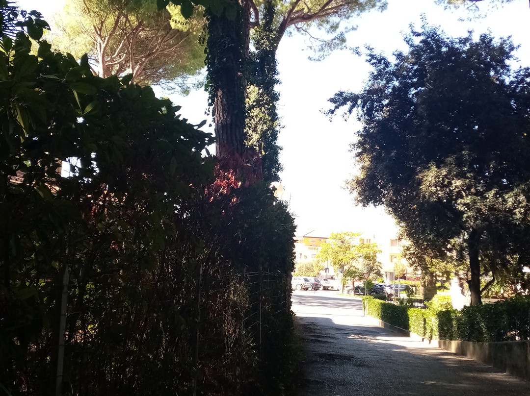 Pineta di Eraclea Mare-Eraclea Mare必去景点
