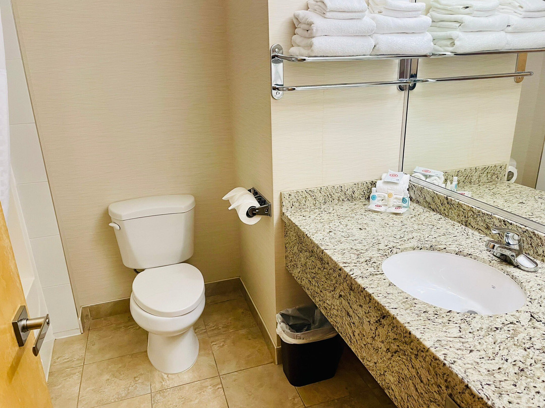 Comfort Inn & Suites Surrey主图