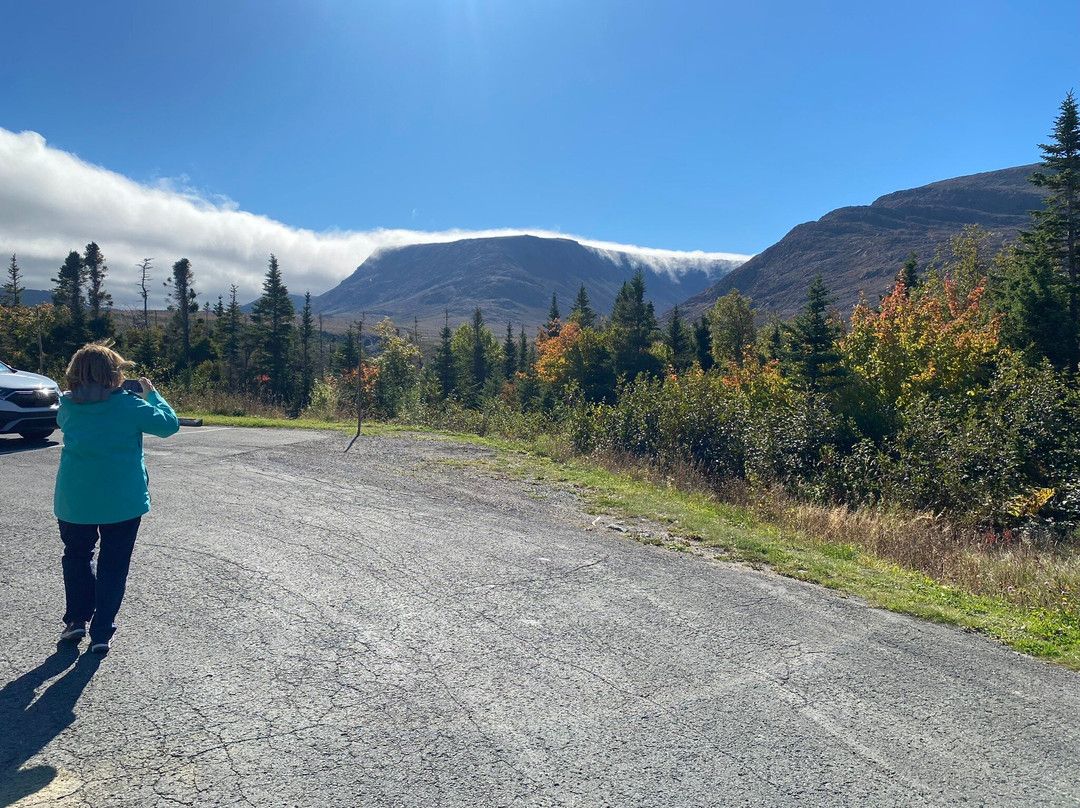 Gros Morne Transportation & Tours景点图片
