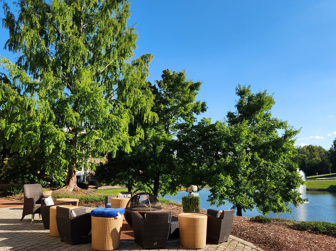 夏洛茨维尔希尔顿花园旅馆主图