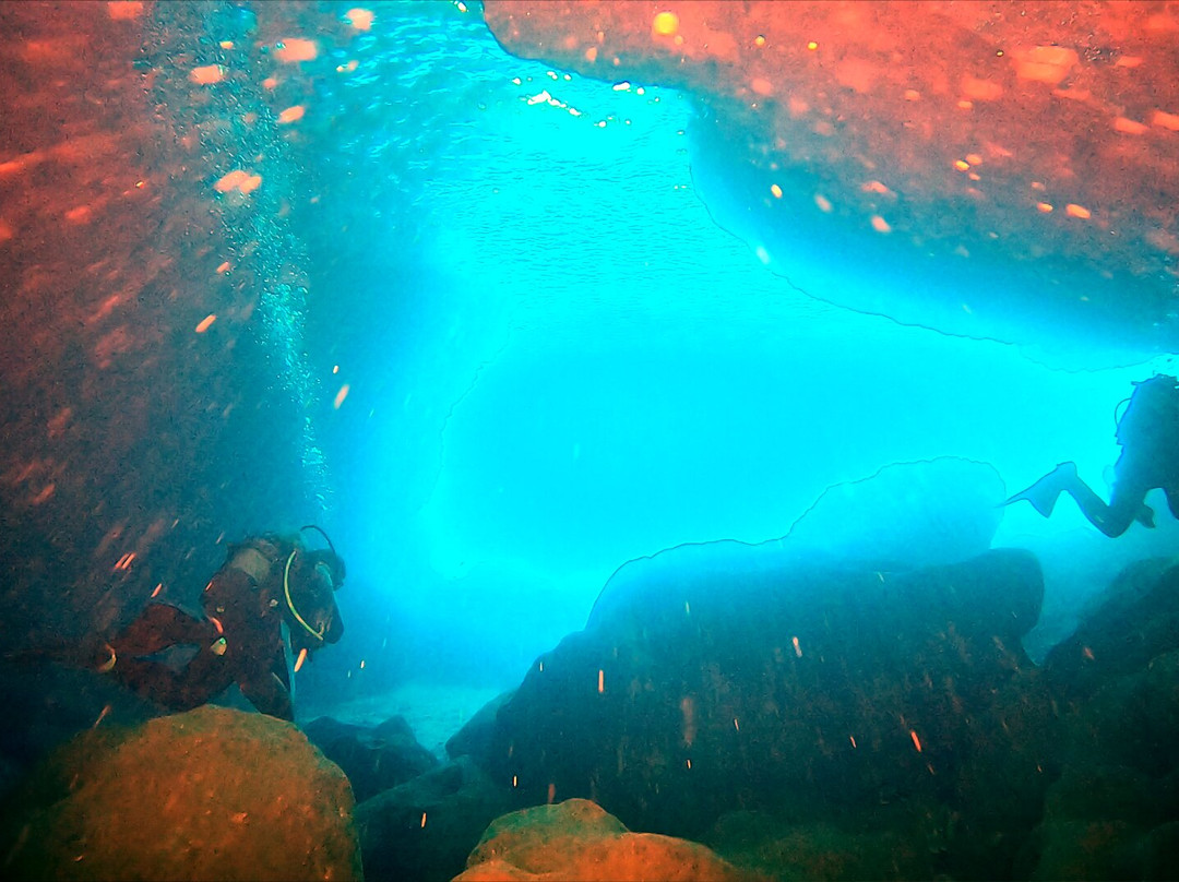 Royal Octopus DIVE CENTER景点图片