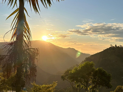 Ruwan Russian Tours & Guide-瓦勒迦玛必去景点