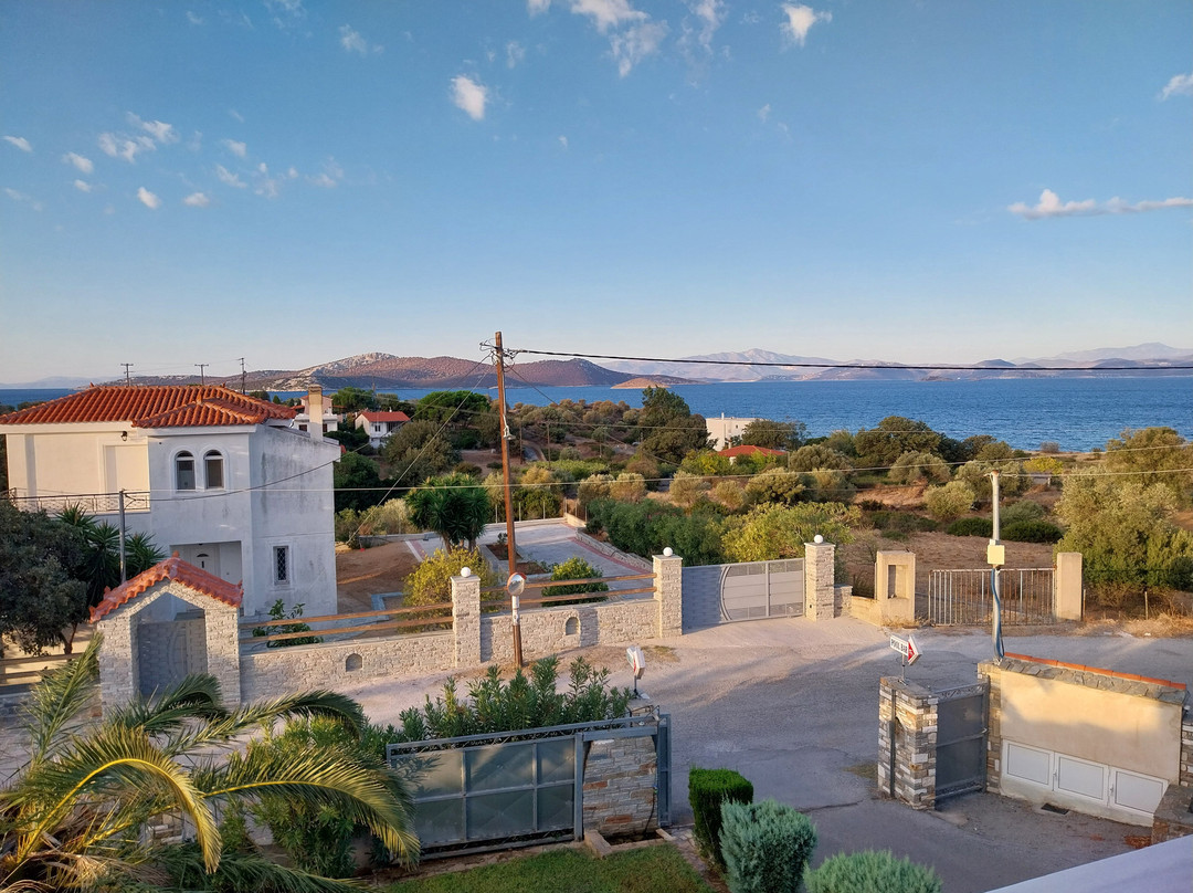 Saint George Hotel & Rooms主图