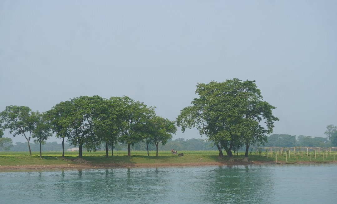 Tanguar Haor-Sunamganj必去景点