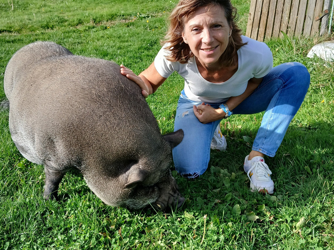 Maison de la Salers-Saint-Bonnet-de-Salers必去景点