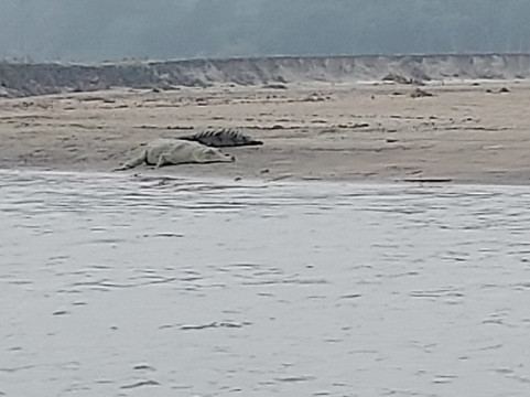 奇塔尔旅馆主图