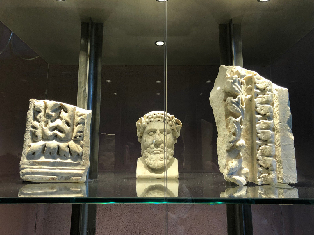 Museo Archeologico di Acqui Terme景点图片