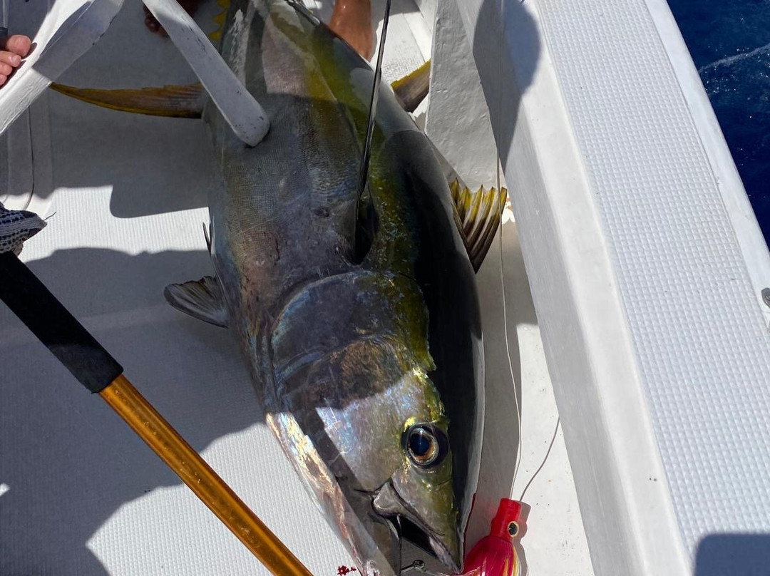 Le Performant Sport Fishing景点图片