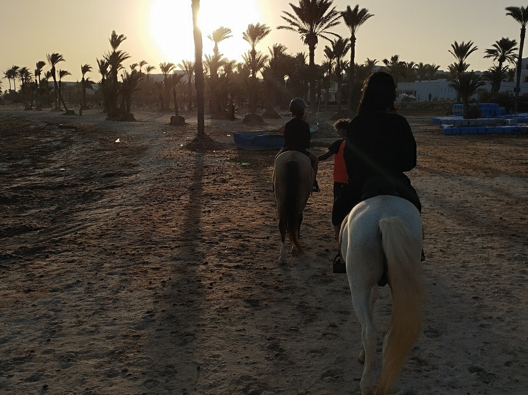 Ranch Adada Djerba-阿基尔必去景点