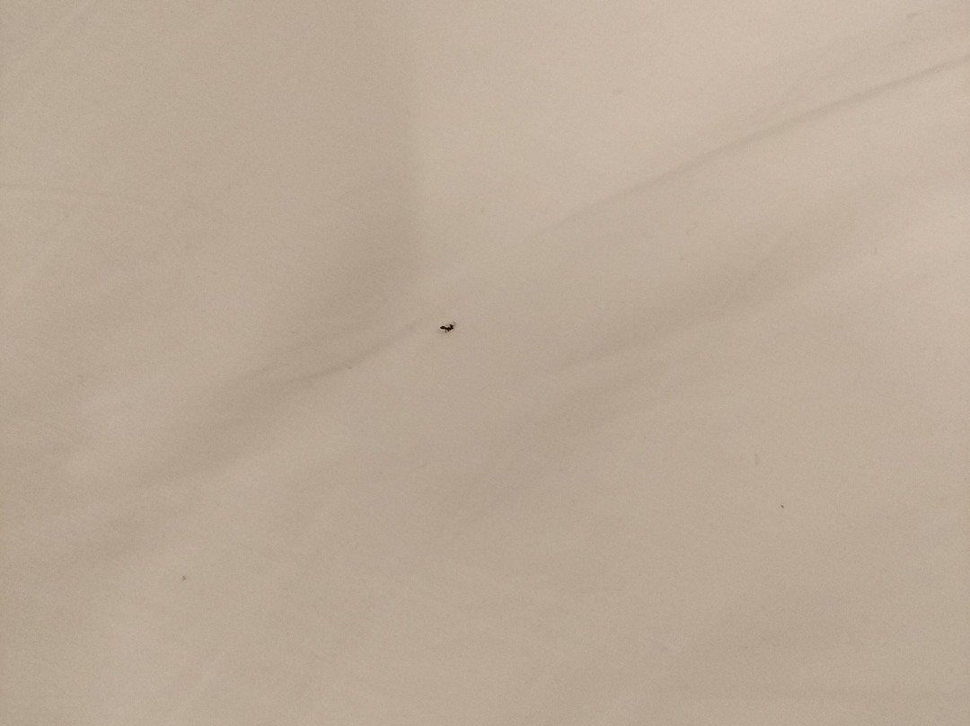 ABCyou Bed & Breakfast主图