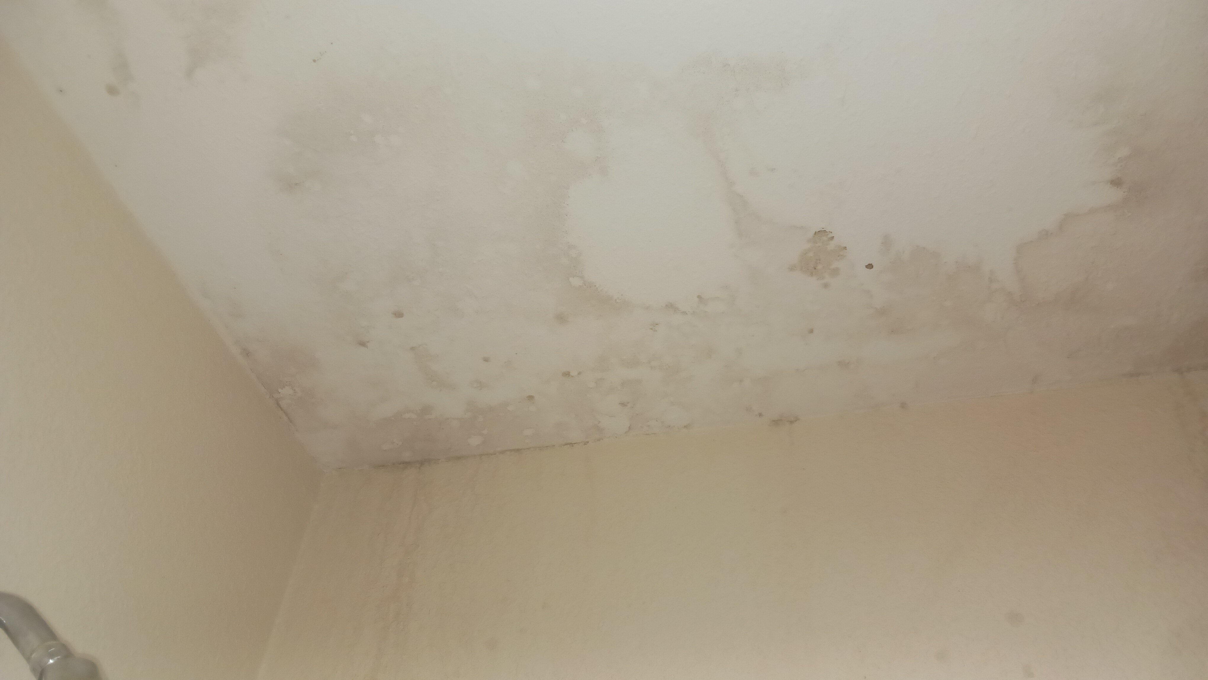 Red Roof Inn Cincinnati East - Beechmont-浴室