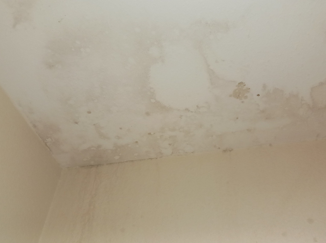 Red Roof Inn Cincinnati East - Beechmont主图