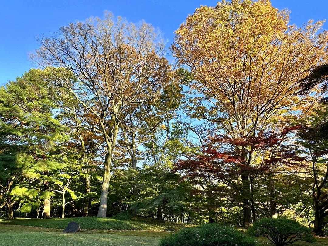 Tonogayato Garden-国分寺市必去景点