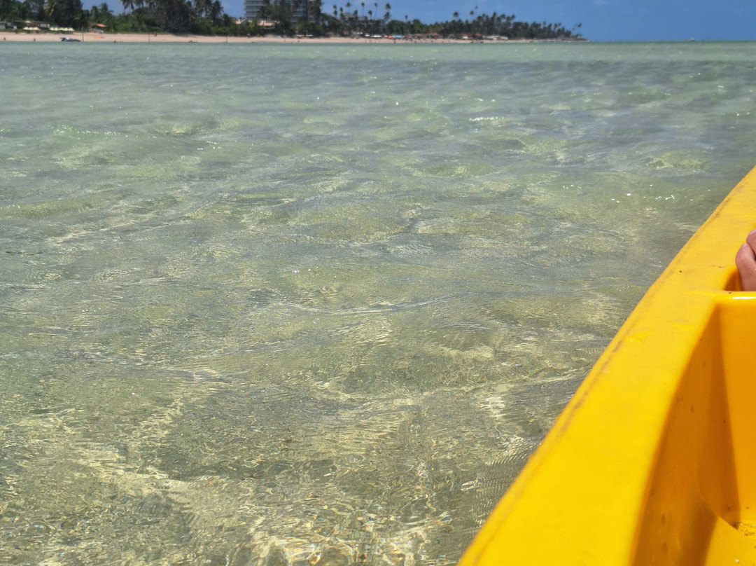 Peroba Beach-Maragogi必去景点