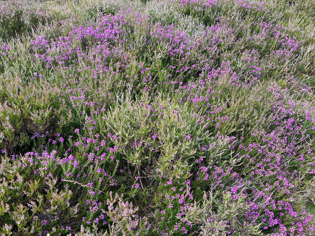 Getaway Trekking-墨尔本必去景点