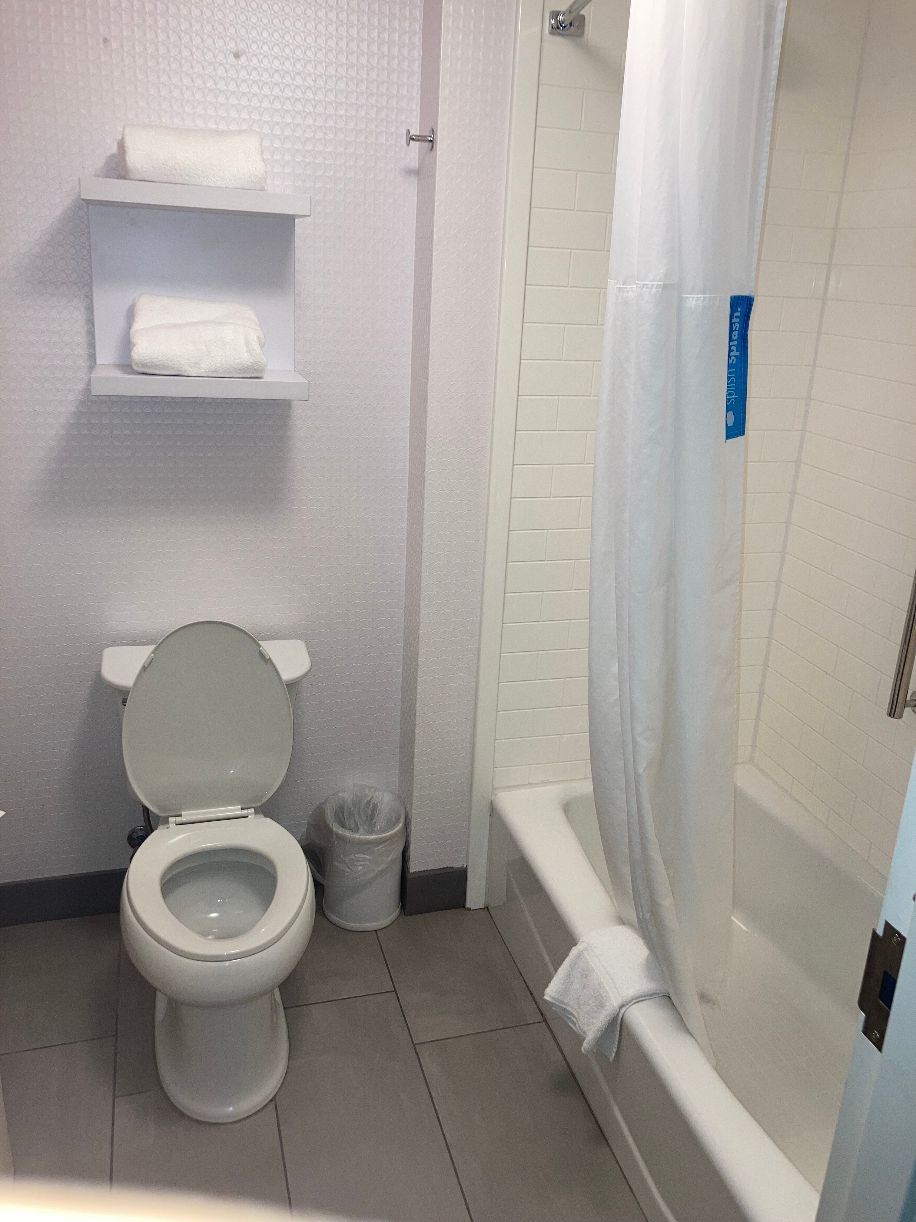 Hampton Inn & Suites Detroit/allen Park-浴室