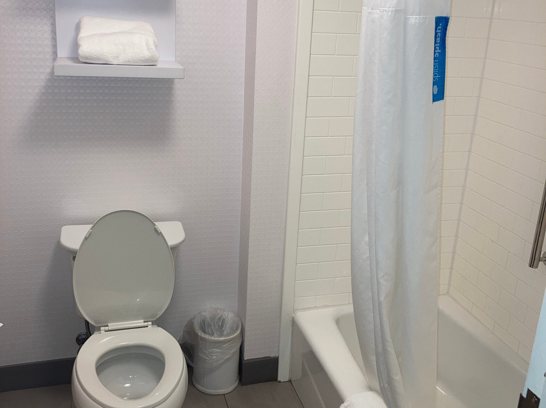 Hampton Inn & Suites Detroit/allen Park主图