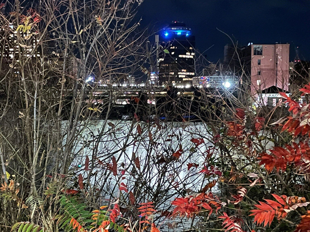 Pont de Rennes Bridge-罗切斯特必去景点